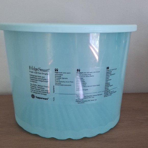 Tupperware FridgeSmart in Aqua (Fruits And Veggies) - Picture 1 of 2